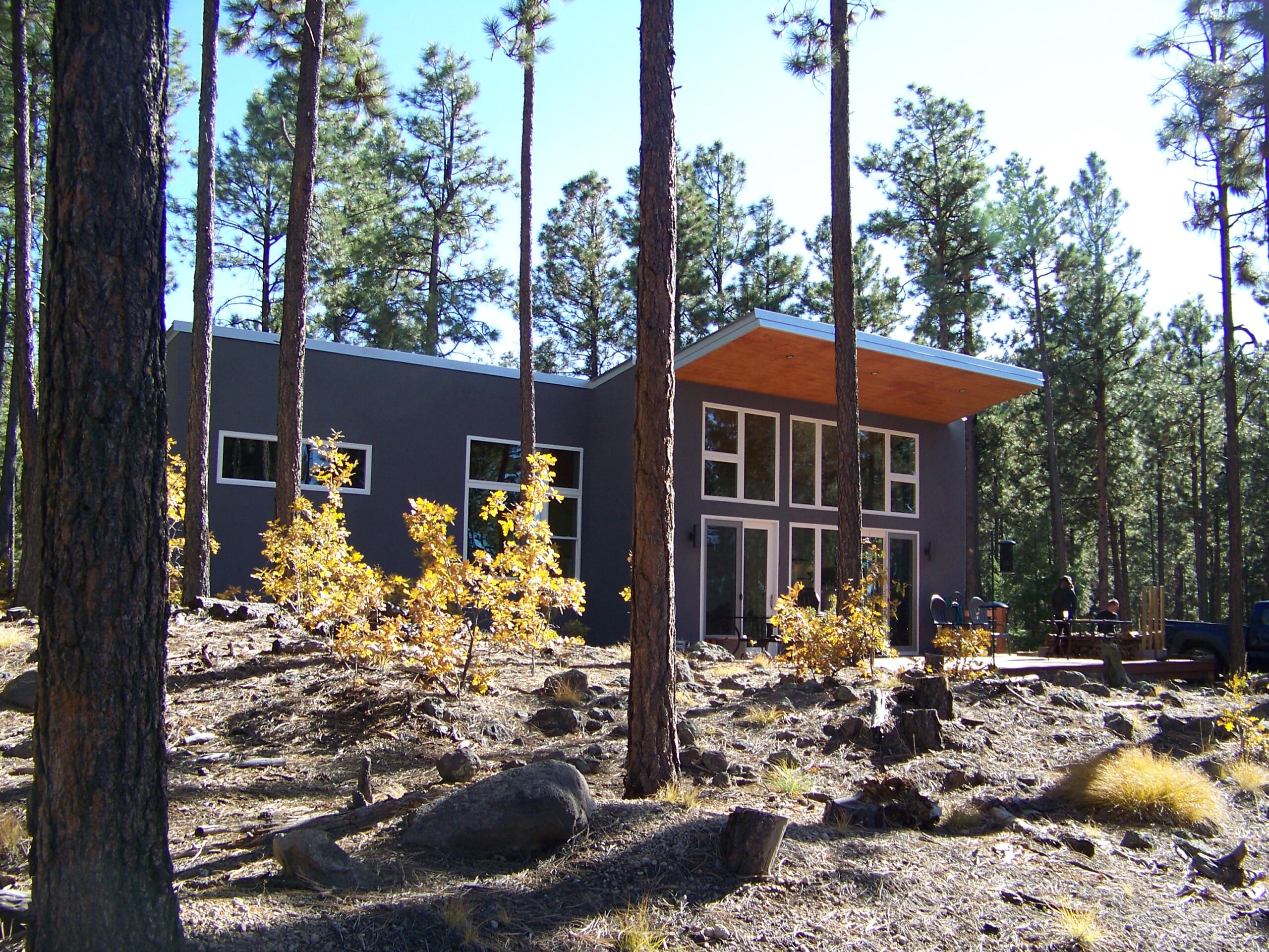 Simple cabin in natural forest, gently sited