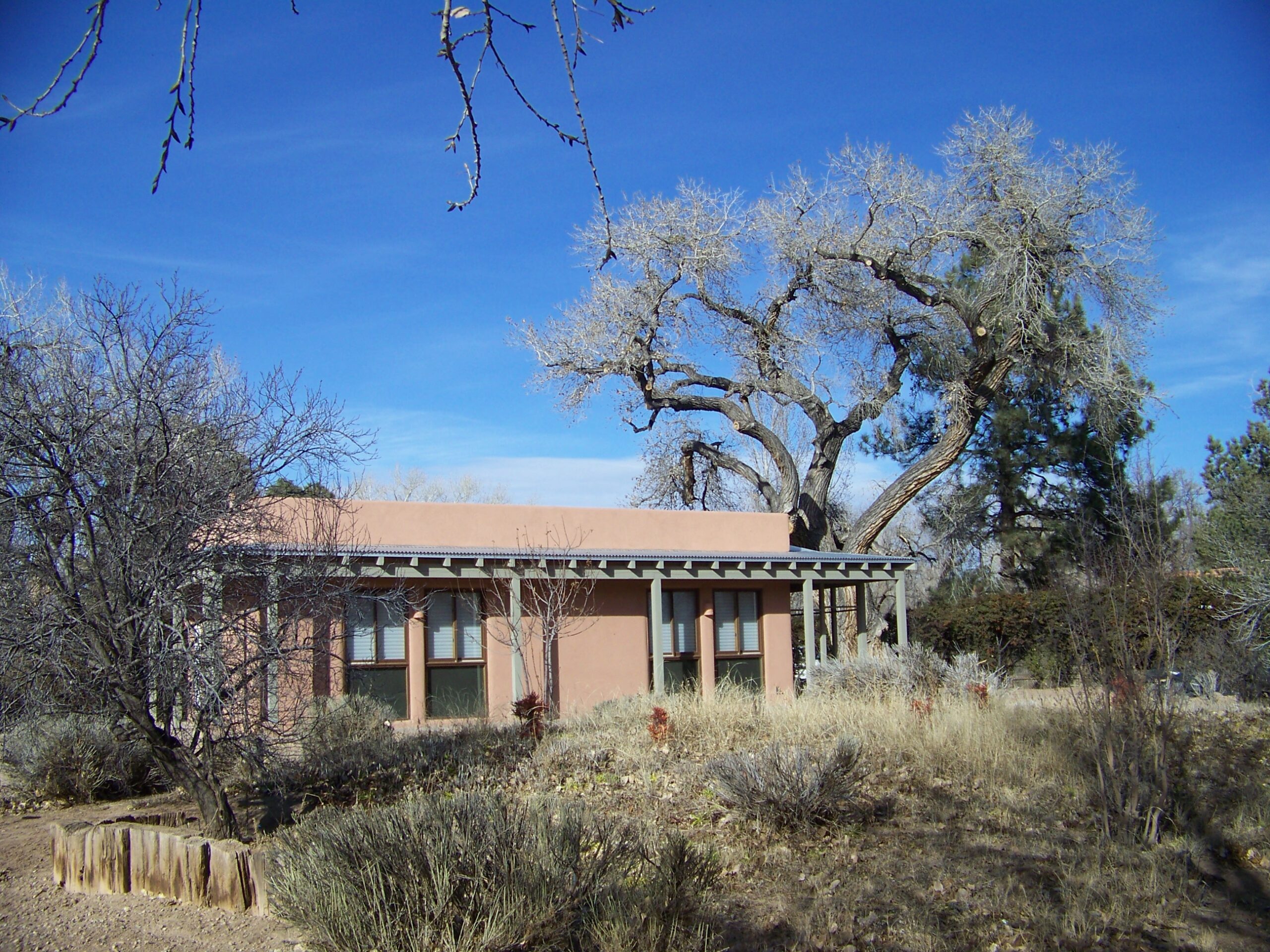 Winter view of house set in mature landscape