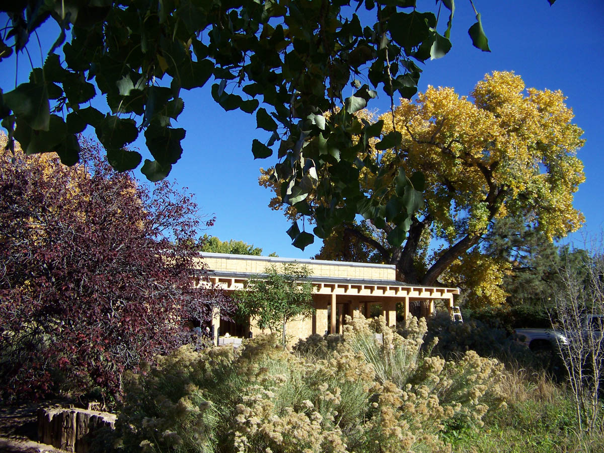 Careful siting of house in mature landscape